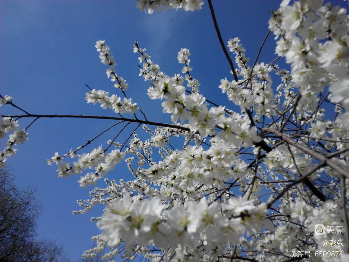 日历全年图片_日历全年黄道吉日_2022日历全年