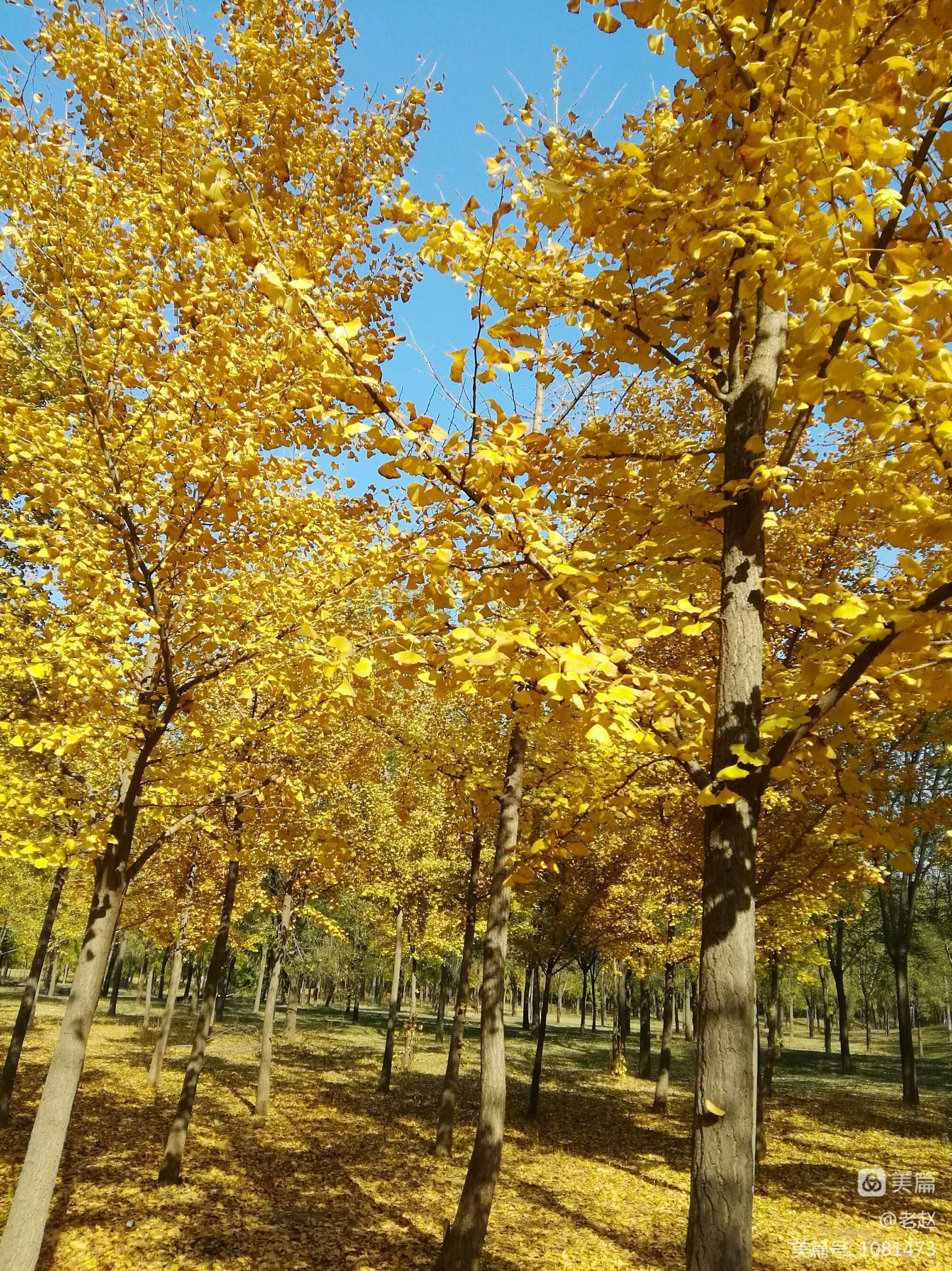 十月十九_十月围城_十月革命