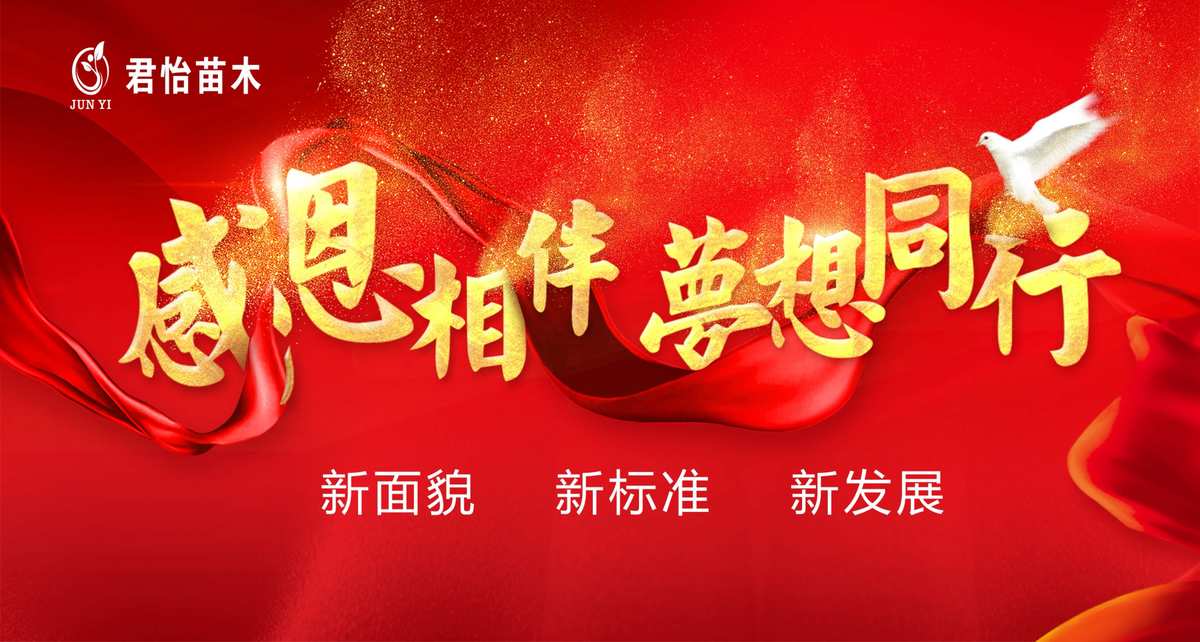 陈圣俊_陈圣俊塌房_陈圣俊比赛视频