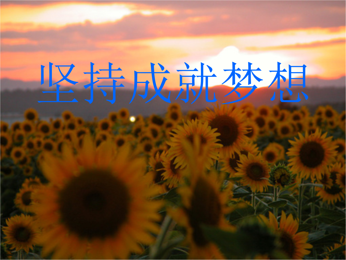 刘婉玲_刘婉玲丈夫_刘婉玲是哪里人
