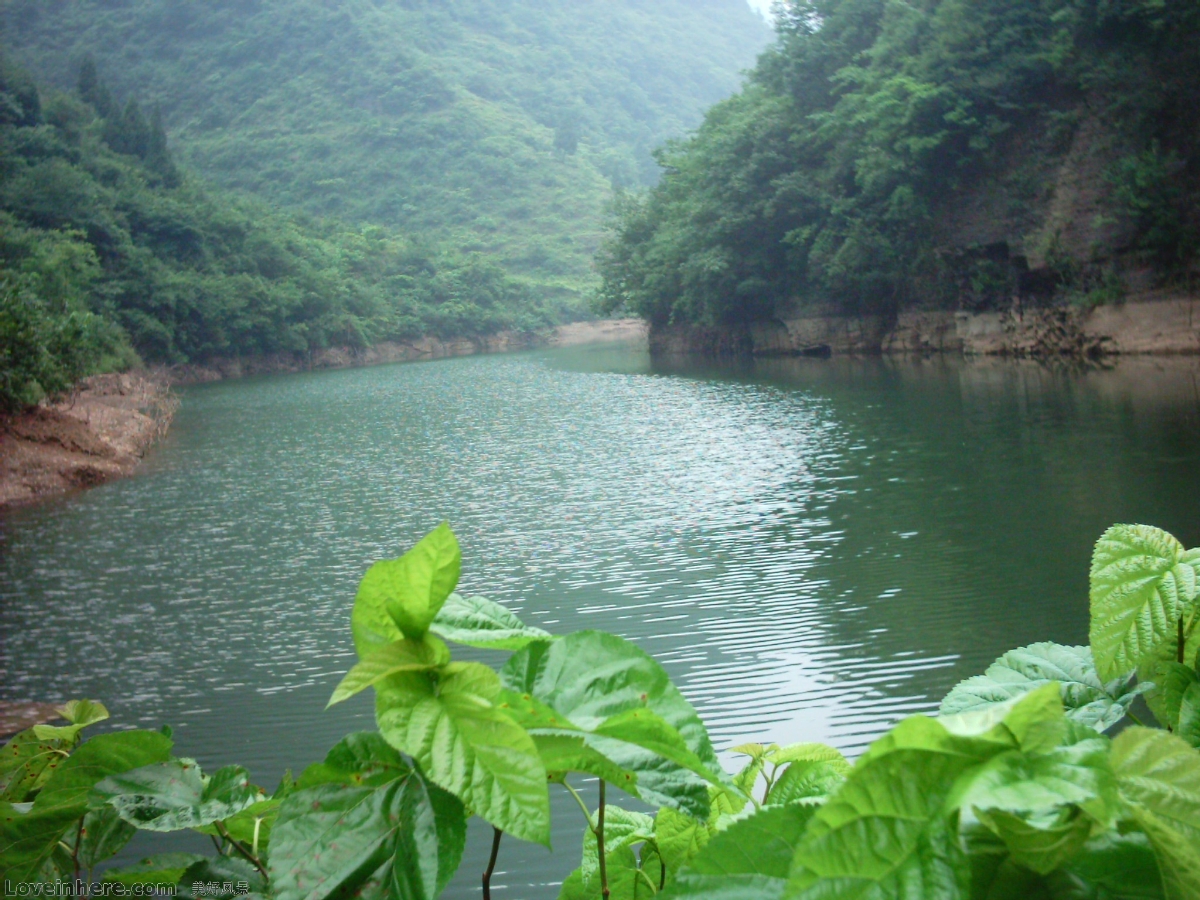 蜜蚁爱愉_蜜蚁爱愉_蜜蚁爱愉