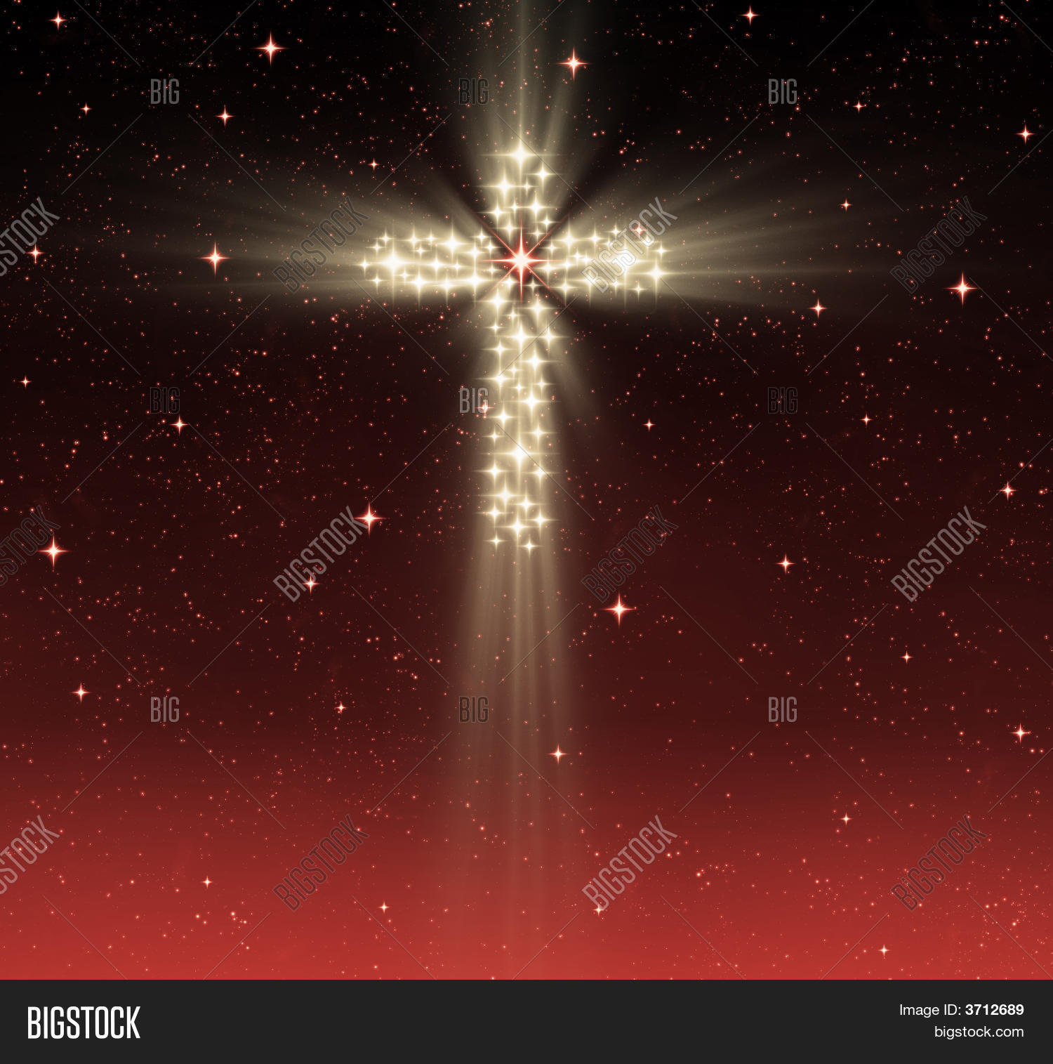 星尘十字军最后的合影留念_星尘十字军_星尘十字军全员阵亡