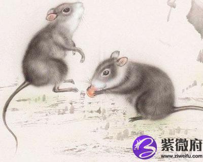 属相年龄对照表2023_1985年属相_属相年份