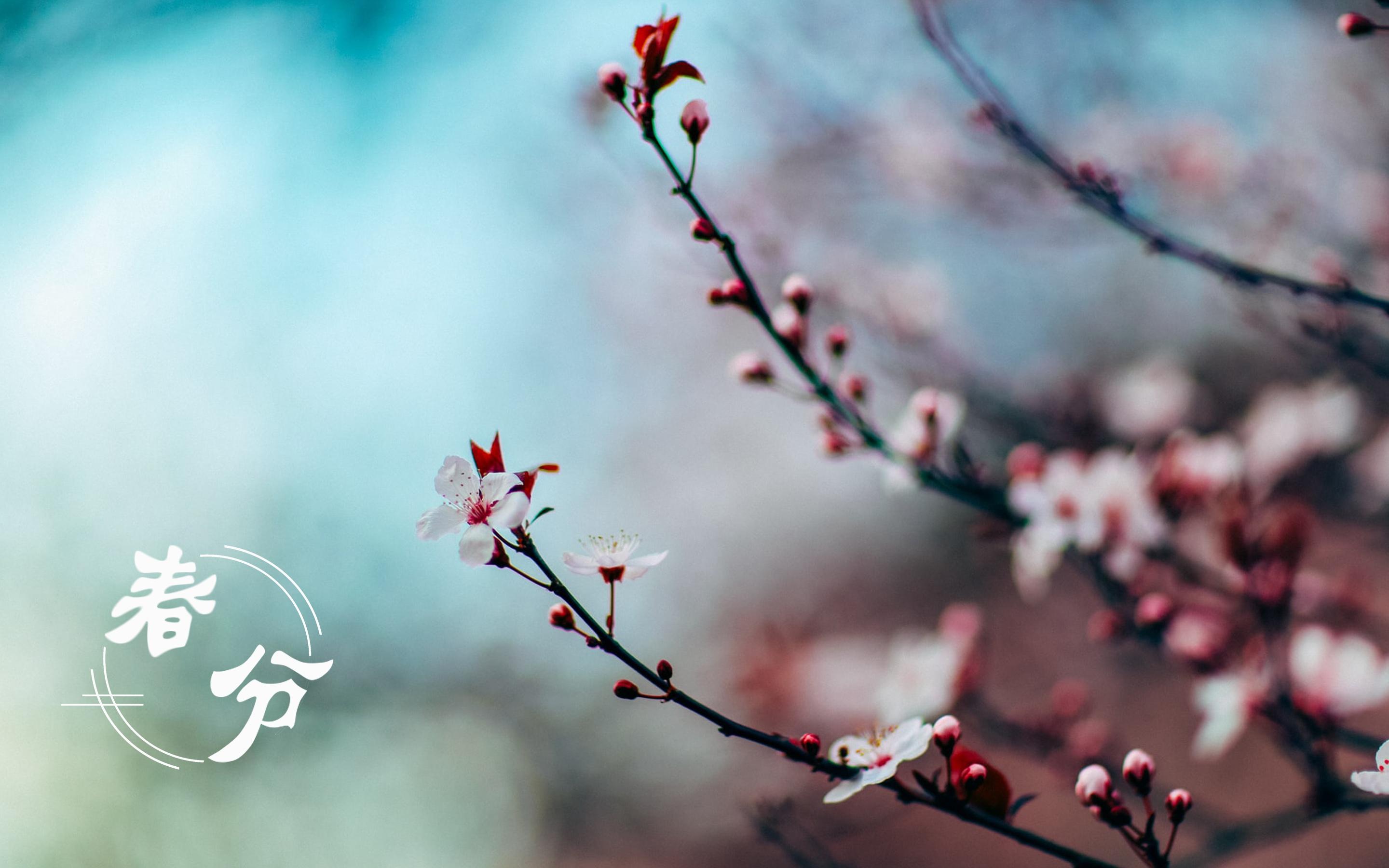 春分花_春分花信风_春分花草香的全诗