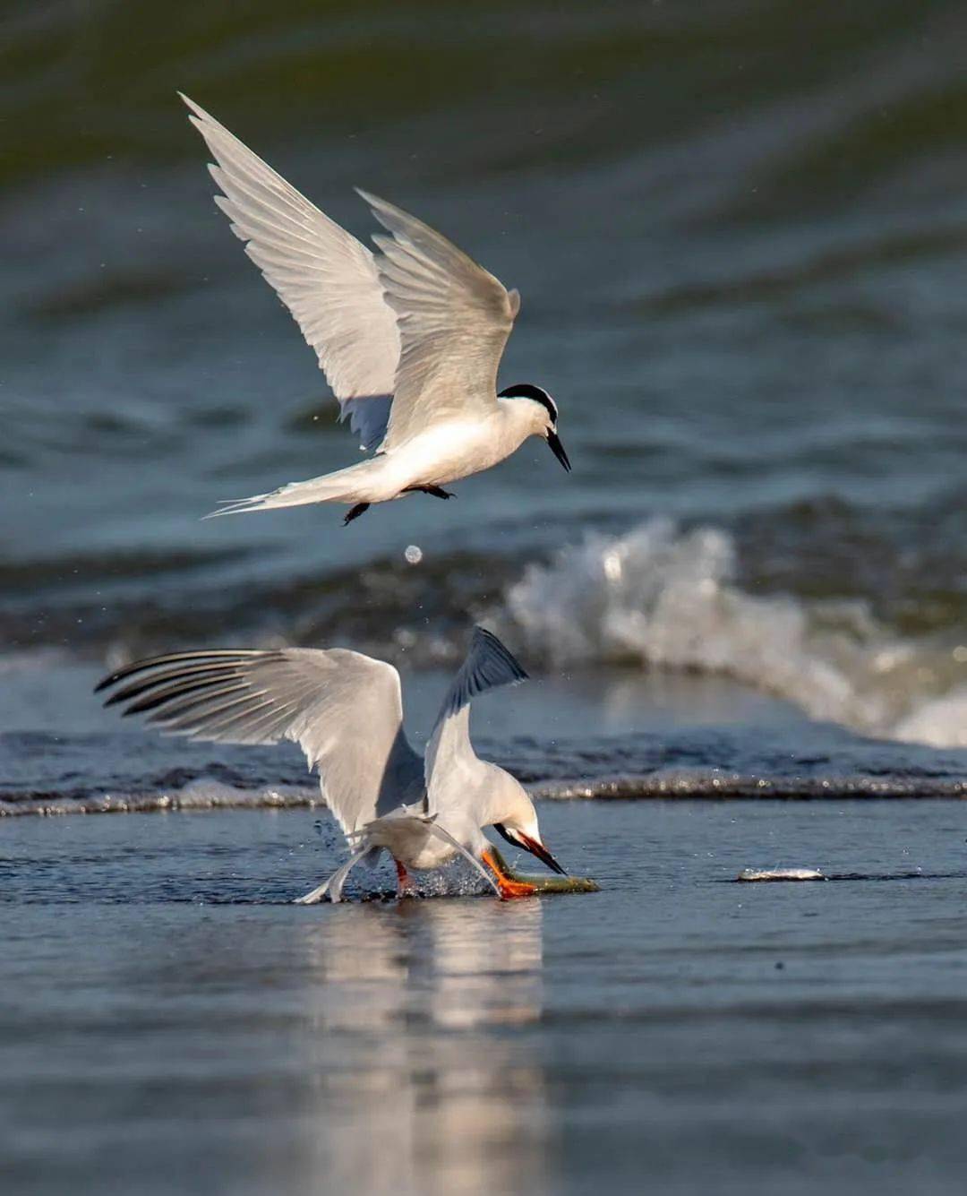 11月16日是什么节日_节日是指_节月是什么意思