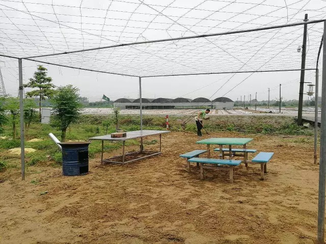 星露谷潘妮_星露谷潘妮黑历史_星露谷潘妮剧情攻略