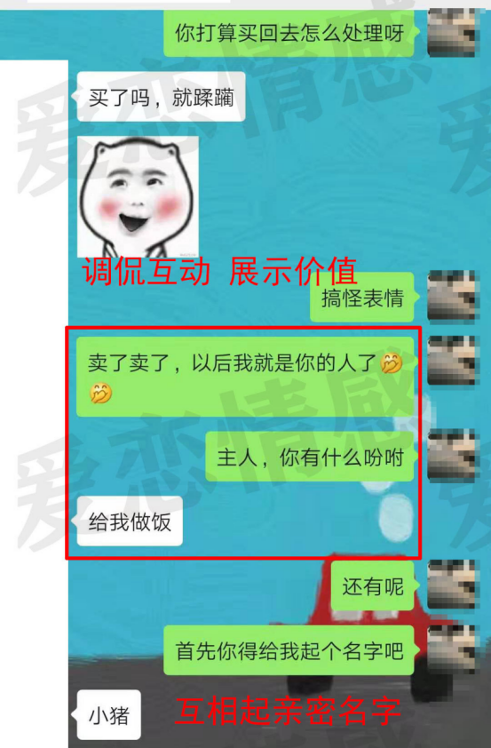 whatsapp官方手机版：三招实用功能，让你轻松玩转通讯世界