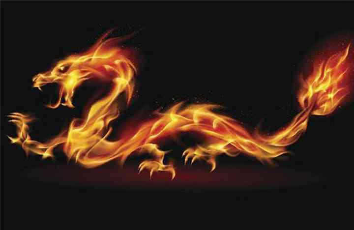 星龙园_星龙会_星龙