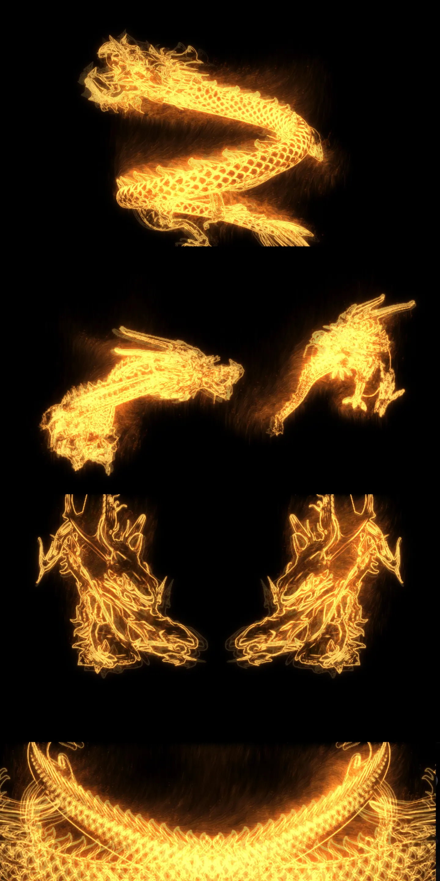 星龙园_星龙会_星龙