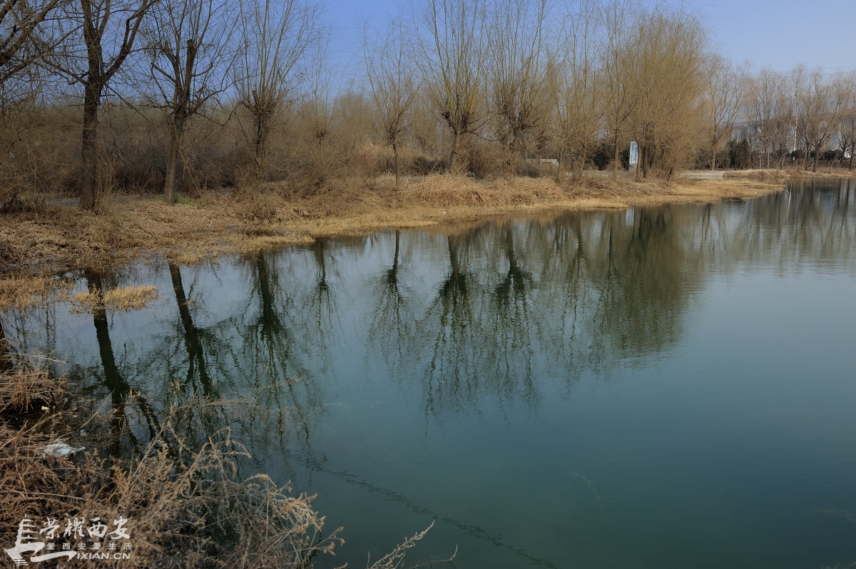 java怎么获取地址_javalibrary新地址获取方法_java获取当前ip地址