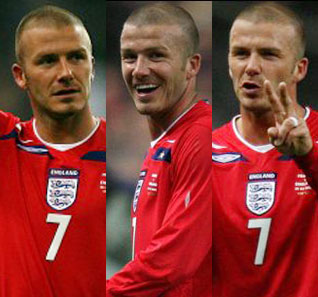 小贝流浪记作文_小贝流浪记_流浪小贝流浪记