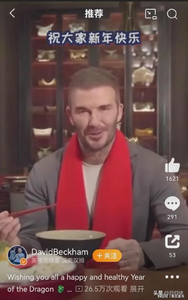 小贝流浪记_流浪小贝流浪记_小贝流浪记作文