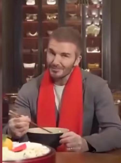 小贝流浪记_小贝流浪记作文_流浪小贝流浪记