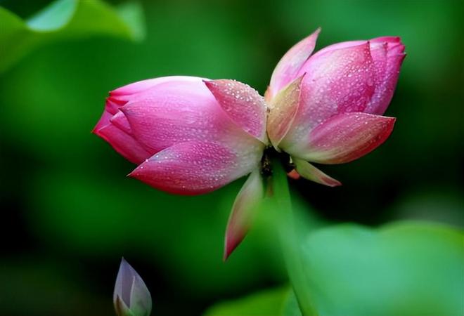 电表户主改名需要什么手续_电表户主名字更换证明怎么写_电表户主名字怎么更换