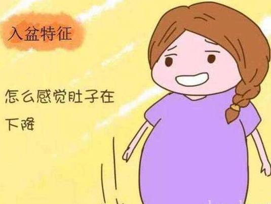 记录宫缩app哪个好用_记录宫缩的app_记录宫缩app哪个好