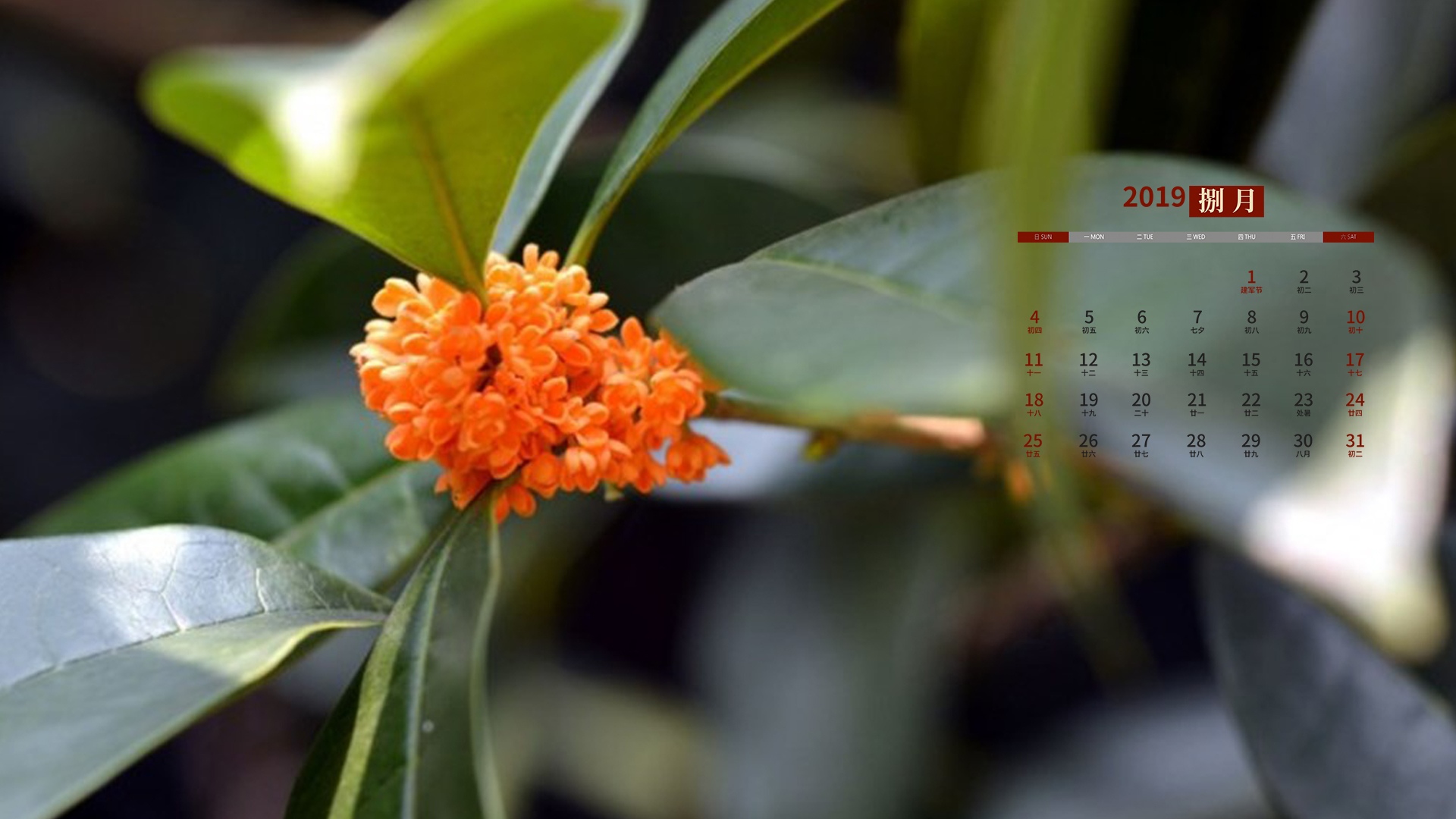 日历月历年历有什么区别_日历月份天数规律_6月日历