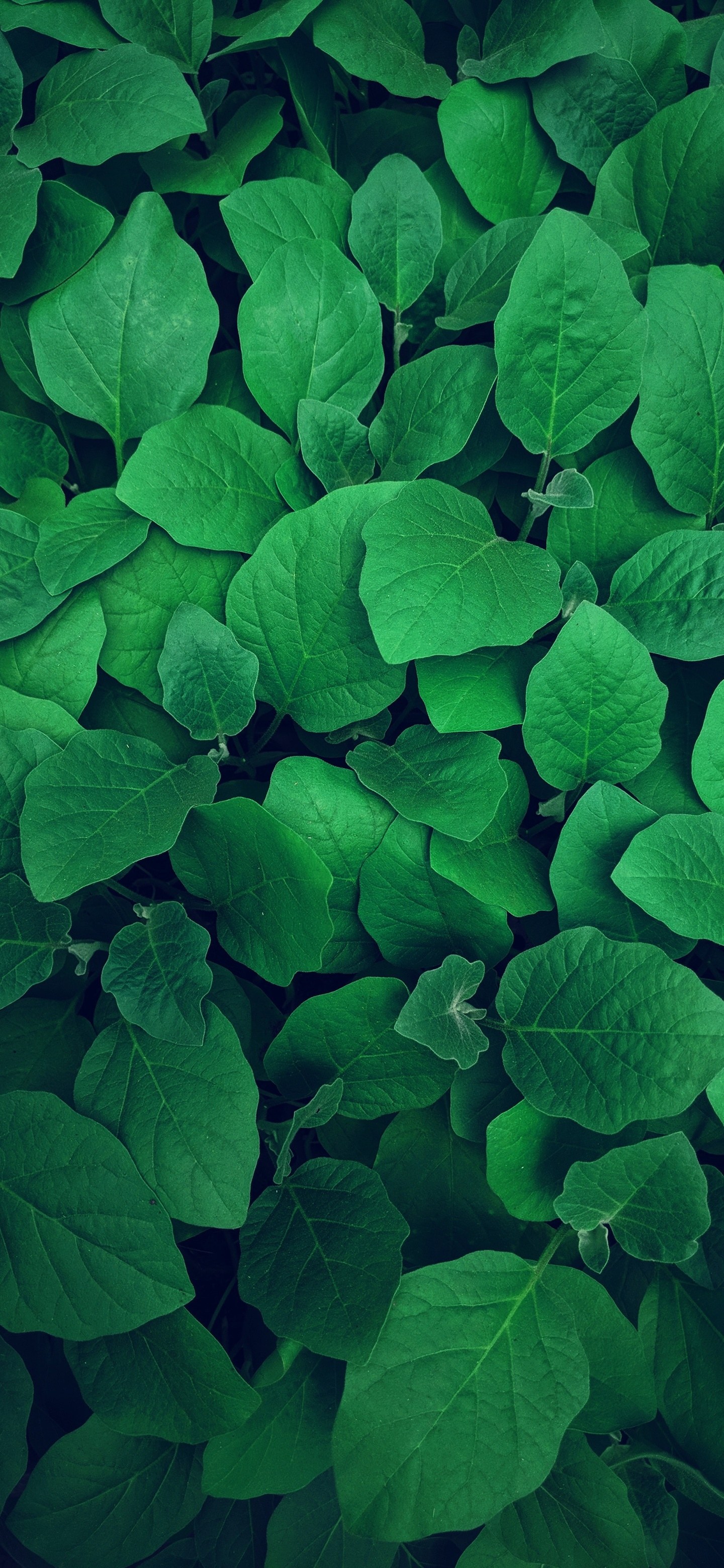 下载手机时钟桌面_时钟桌面_时钟桌面显示手机怎么设置