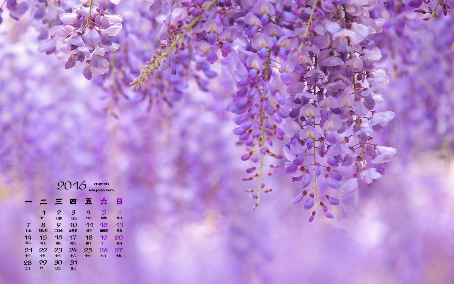 3月日历_日历月是什么意思_日历月历年历有什么区别