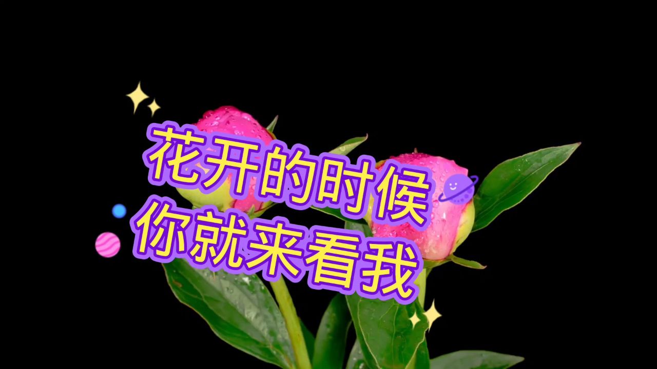 歌词有厮守的歌曲_厮守歌曲_我该如何去厮守是什么歌
