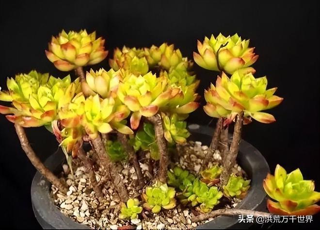 k豆钱包苹果下载_no钱包苹果下载_苹果怎么下载tp钱包