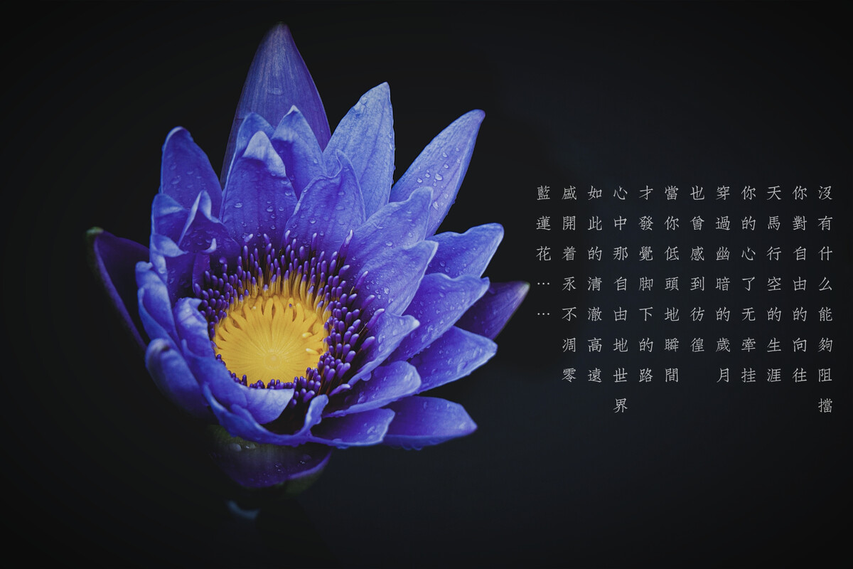 古濑绘理_akb48濑理沙_清濑夏绘欲海情魔