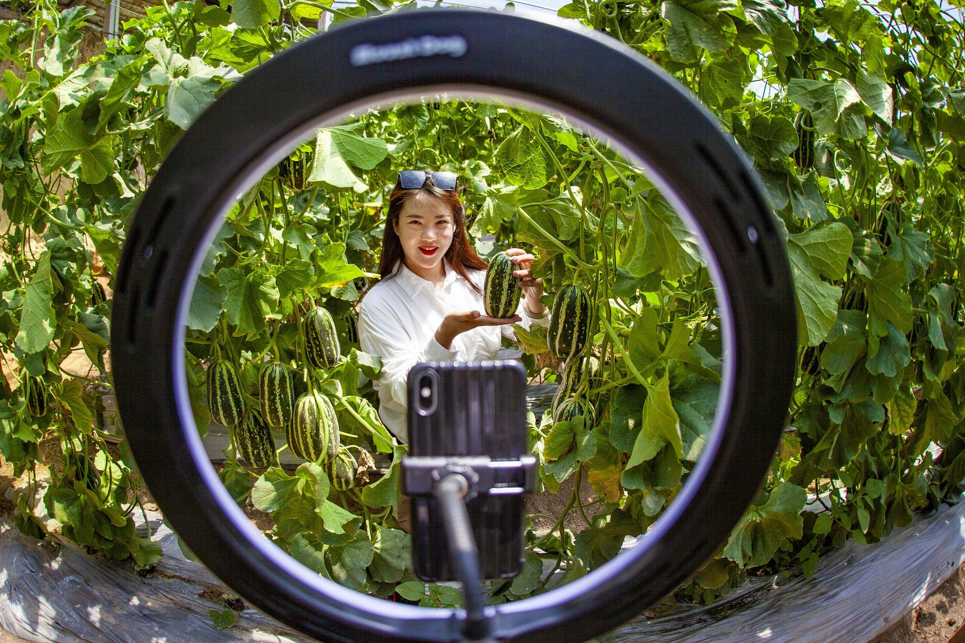 怎样查主播收了多少音浪_怎么看主播收到的音浪_从哪里看主播音浪收入