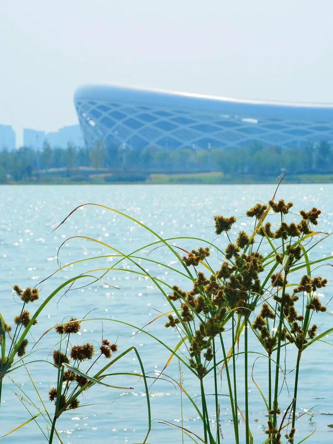 附近找个货拉拉车_寻找附近货拉拉电话号码_附近货拉拉车在哪里找