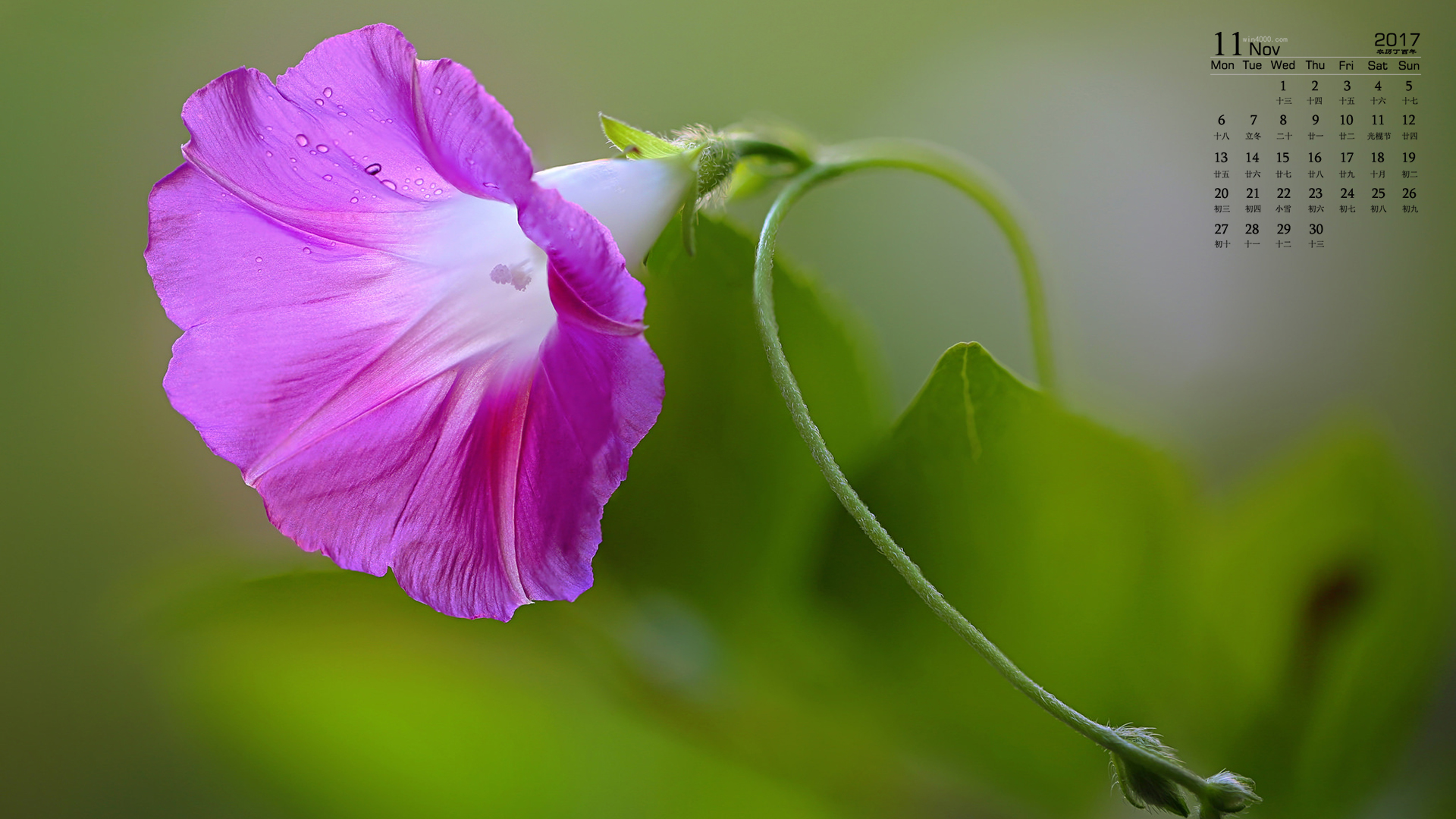 日历年份_日历年是什么意思_24年日历
