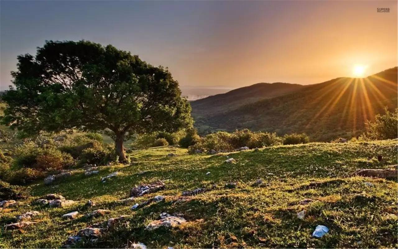 阿部敦_阿部敦_阿部敦