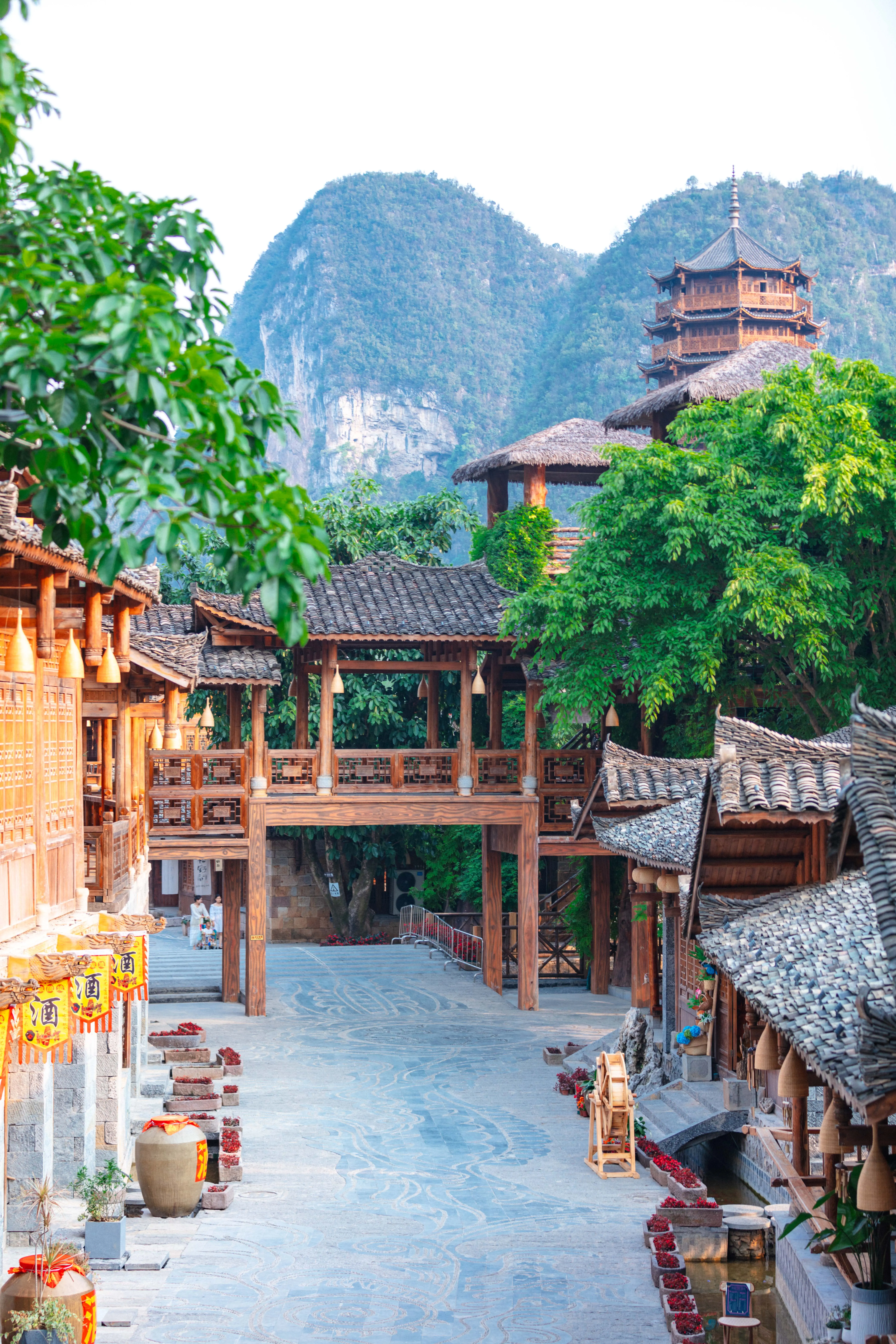 丛林果汁漫画在哪看_丛林果汁第二季_丛林果汁