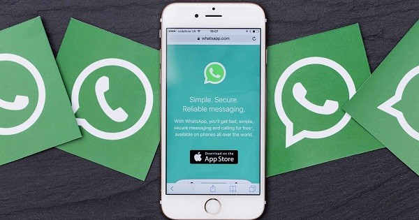 whatsapp最新版下载_whatsapp官方最新版下载_whatsapp官方最新版下载