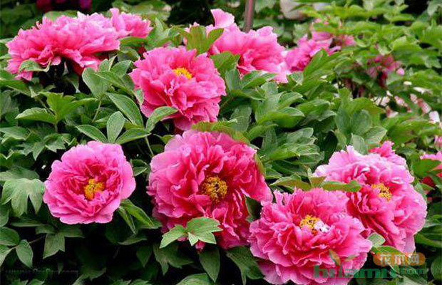 能用中国广电卡的手机_能用中国国旗当头像吗_imtoken中国能用吗