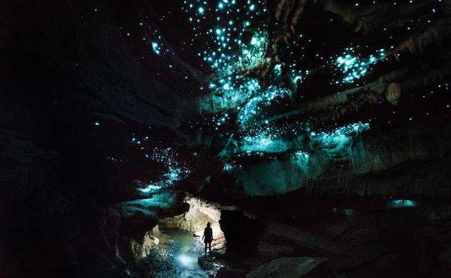 决斗大师国际服_大师决斗_决斗大师手机版下载