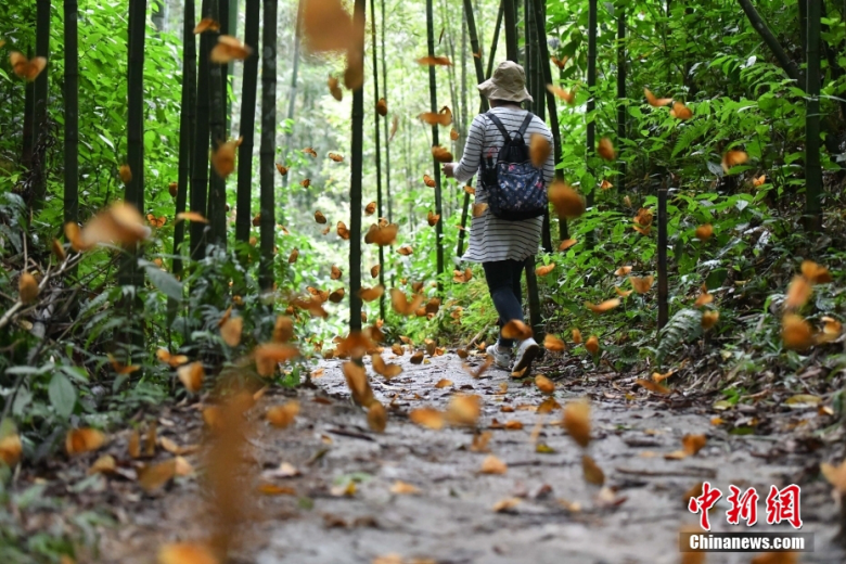 2013年6月6日_月年2023年_外国生产日期怎么看日月年