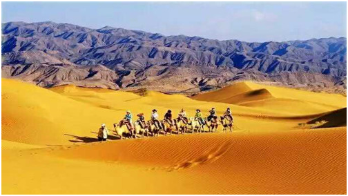 冰菓11.5_冰菓11.5集免费观看_冰菓11.5集在哪看