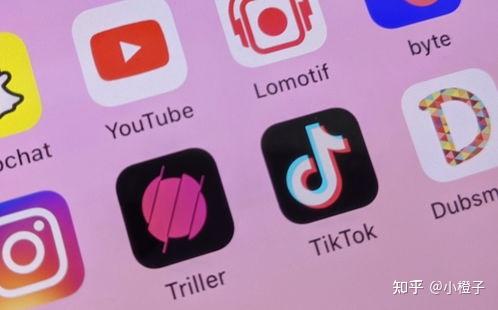 钱包授权是什么意思_tp钱包授权了会不会被盗币_怎么查看tp钱包授权