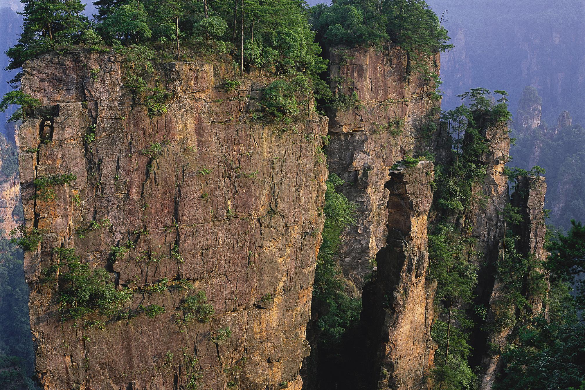 游美营地教育科技有限公司_美游_游美夏令营