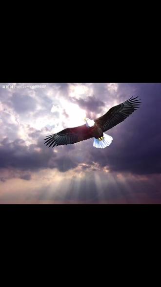 逐光:启航_海之乐章启航_逐光启航