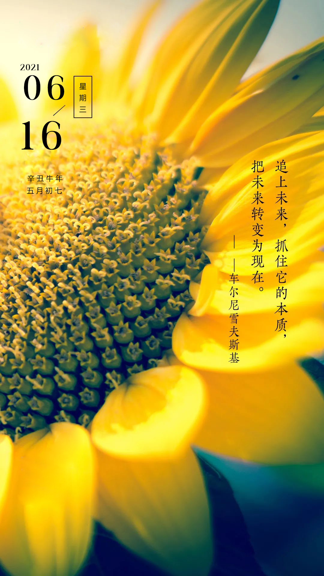 马丁路德金悼词_马丁路德金纪念日_马丁路德金纪念碑设计