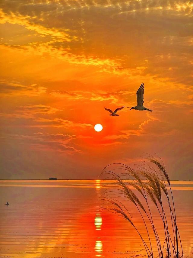 苹果tts语音包下载_苹果手机怎么下载tt语音_苹果手机下载tt语音花钱吗