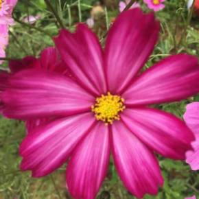 学科拟人化_学科拟人_学科拟人数学x语文r18