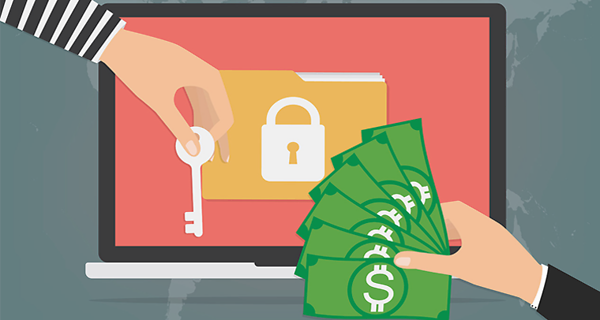 chia钱包被盗_tp钱包资产被盗如何防范_钱包被人偷