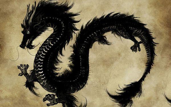 梵音圣姬戴菲_古圣戴始龙卡组_古圣戴始龙