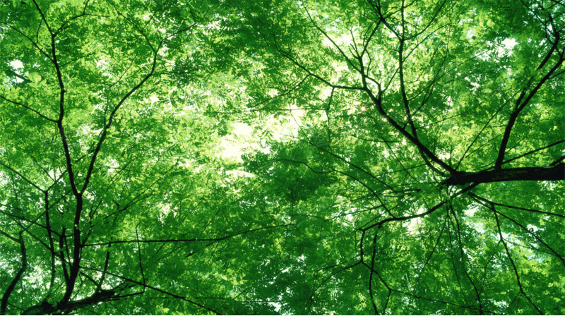 im钱包怎么找回密码_钱包密码恢复符_如何找回钱包密码