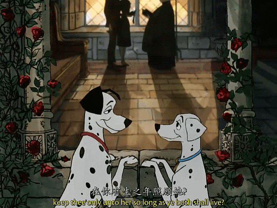 101忠狗_忠狗101角色_忠狗101续集