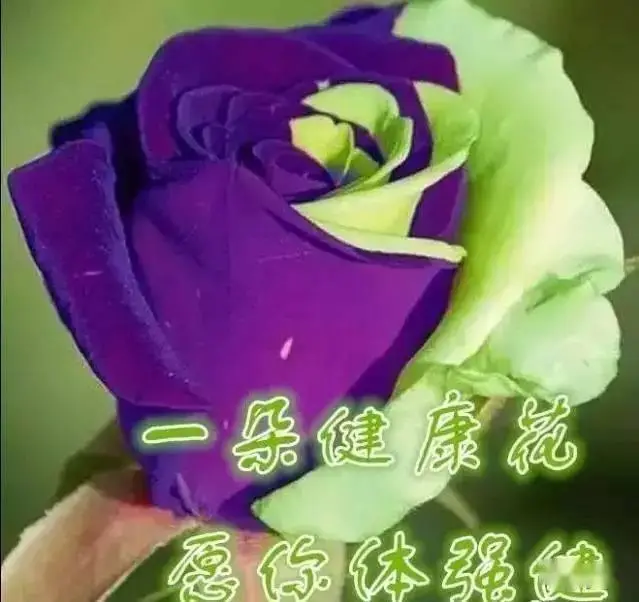 幺幺_幺幺是什么意思_幺幺玖钱包