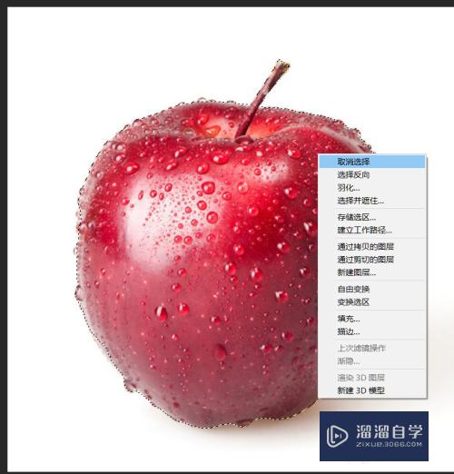 套索工具组_套索工具用法_套索工具怎么用