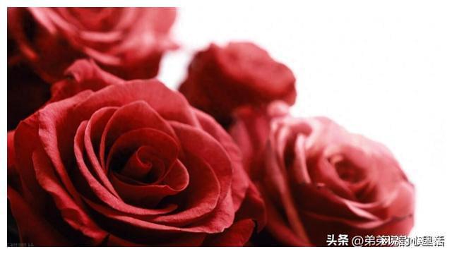 算命说天年有限什么意思_有天什么意思_2022年一共有多少天