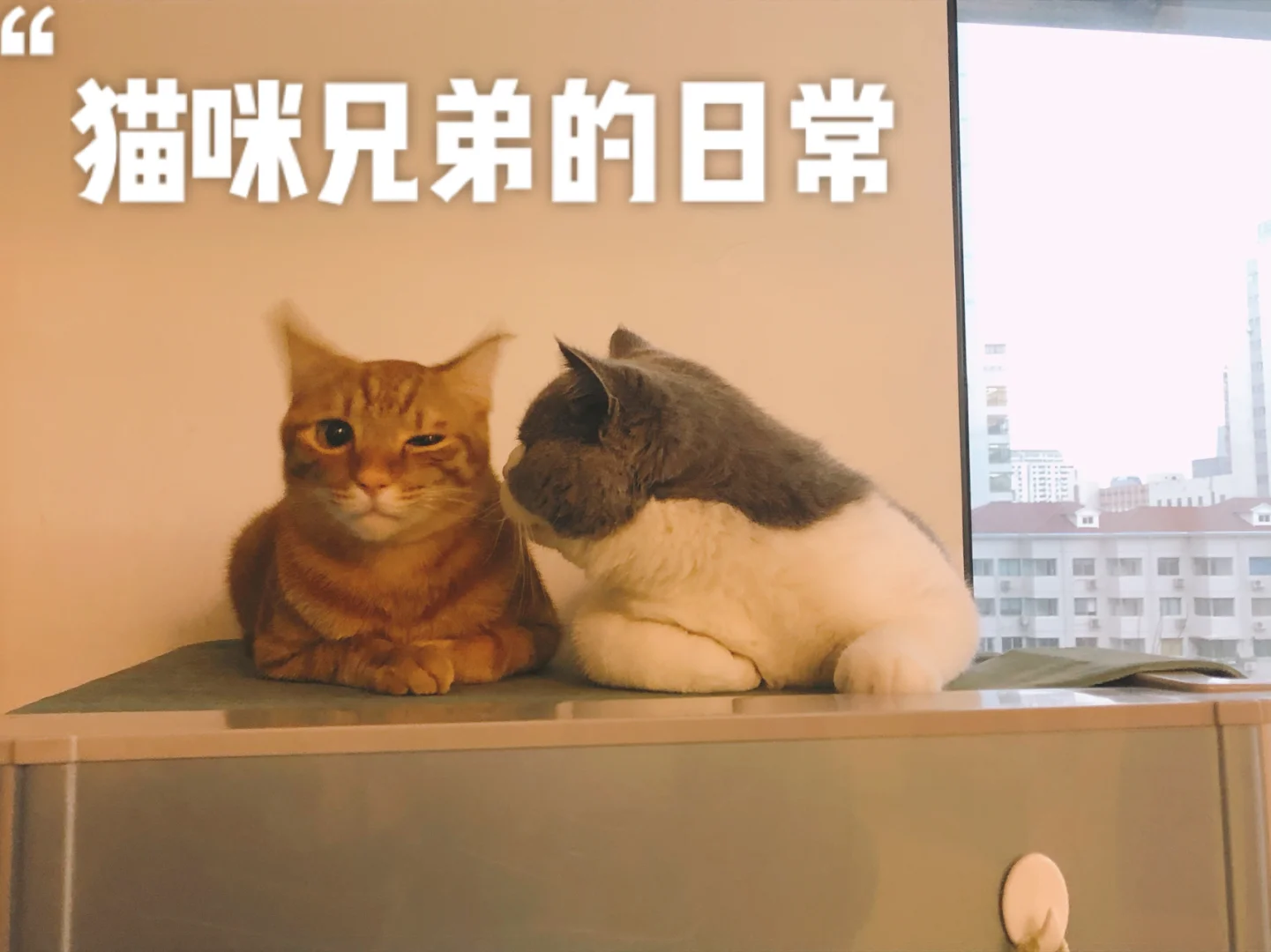 人格测试十六型人格_色人格第四季_多重人格