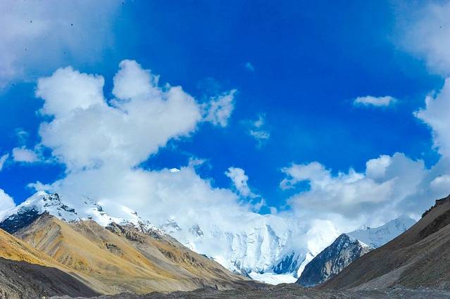 青文出版社官网如何进入_青文出版社怎么样_青文出版社官网